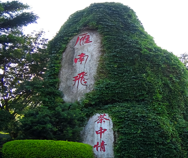雁南飞神石
