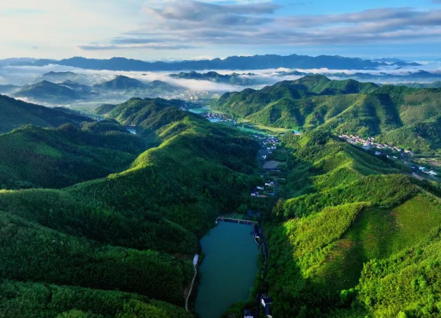 青山绿水