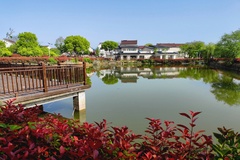 池塘