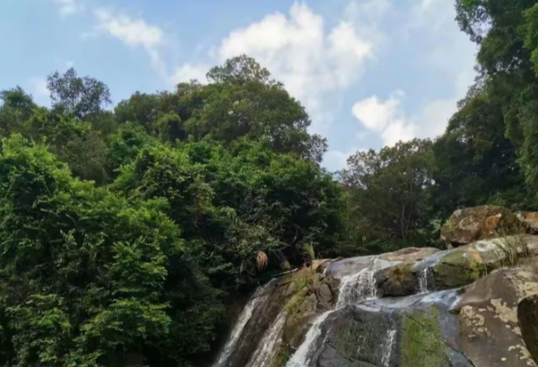 南万红林生态公园