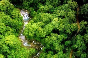 南万红椎林生态公园