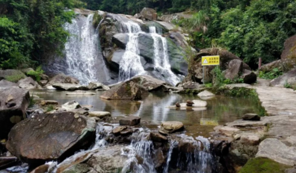 生态公园科普小径