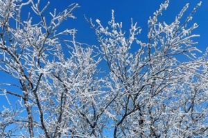 浙北第一峰徒步指南：安吉龙王山路线、装备与安全全攻略