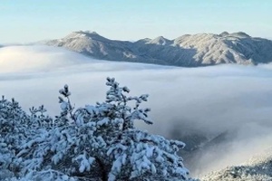 临安悄然而来的一场雪