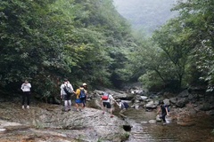 夏季避暑