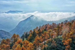 秋景
